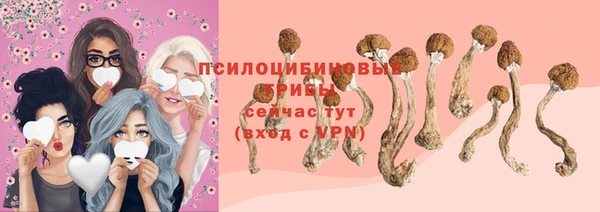дурь Нягань
