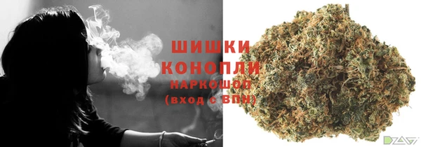 гидропоника Няндома