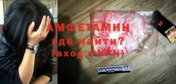спиды Богородицк