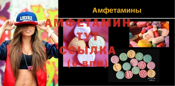 спиды Богородицк
