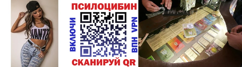 гидра ссылка  Новотроицк  Галлюциногенные грибы Psilocybe  дарнет шоп 